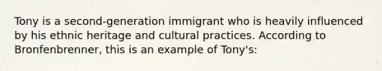 Tony is a second-generation immigrant who is heavily influenced by his ethnic heritage and cultural practices. According to Bronfenbrenner, this is an example of Tony's: