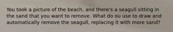 You took a picture of the beach, and there's a seagull sitting in the sand that you want to remove. What do ou use to draw and automatically remove the seagull, replacing it with more sand?