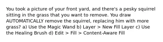 You took a picture of your front yard, and there's a pesky squirrel sitting in the grass that you want to remove. You draw AUTOMATICALLY remove the squirrel, replacing him with more grass? a) Use the Magic Wand b) Layer > New Fill Layer c) Use the Healing Brush d) Edit > Fill > Content-Aware Fill