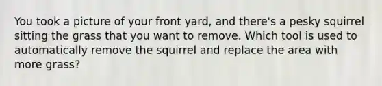 You took a picture of your front yard, and there's a pesky squirrel sitting the grass that you want to remove. Which tool is used to automatically remove the squirrel and replace the area with more grass?