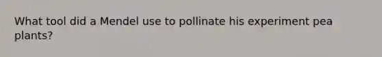 What tool did a Mendel use to pollinate his experiment pea plants?