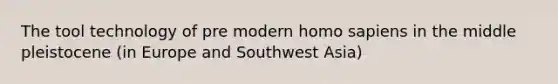 The tool technology of pre modern homo sapiens in the middle pleistocene (in Europe and Southwest Asia)