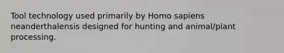 Tool technology used primarily by Homo sapiens neanderthalensis designed for hunting and animal/plant processing.