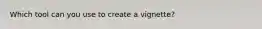 Which tool can you use to create a vignette?