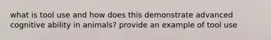 what is tool use and how does this demonstrate advanced cognitive ability in animals? provide an example of tool use