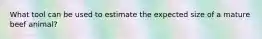 What tool can be used to estimate the expected size of a mature beef animal?