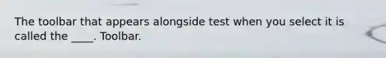 The toolbar that appears alongside test when you select it is called the ____. Toolbar.