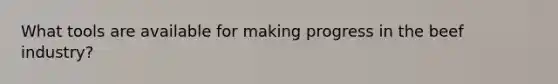 What tools are available for making progress in the beef industry?