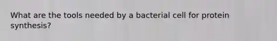 What are the tools needed by a bacterial cell for protein synthesis?