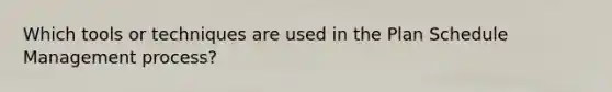 Which tools or techniques are used in the Plan Schedule Management process?
