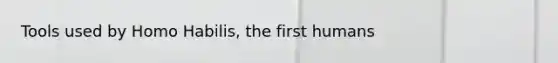 Tools used by Homo Habilis, the first humans