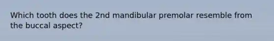 Which tooth does the 2nd mandibular premolar resemble from the buccal aspect?