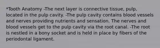 *Tooth Anatomy -The next layer is connective tissue, pulp, located in the pulp cavity. -The pulp cavity contains blood vessels and nerves providing nutrients and sensation. The nerves and blood vessels get to the pulp cavity via the root canal. -The root is nestled in a bony socket and is held in place by fibers of the periodontal ligament.