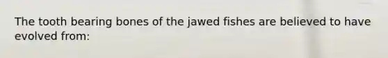 The tooth bearing bones of the jawed fishes are believed to have evolved from: