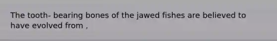 The tooth- bearing bones of the jawed fishes are believed to have evolved from ,