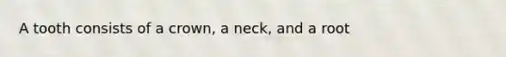 A tooth consists of a crown, a neck, and a root