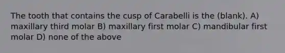 The tooth that contains the cusp of Carabelli is the (blank). A) maxillary third molar B) maxillary first molar C) mandibular first molar D) none of the above