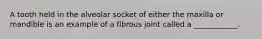 A tooth held in the alveolar socket of either the maxilla or mandible is an example of a fibrous joint called a ____________.