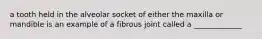 a tooth held in the alveolar socket of either the maxilla or mandible is an example of a fibrous joint called a _____________