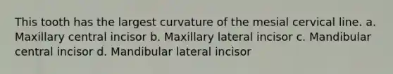 This tooth has the largest curvature of the mesial cervical line. a. Maxillary central incisor b. Maxillary lateral incisor c. Mandibular central incisor d. Mandibular lateral incisor