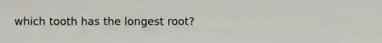 which tooth has the longest root?