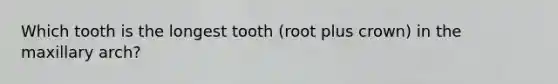 Which tooth is the longest tooth (root plus crown) in the maxillary arch?