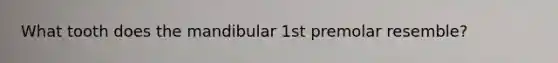 What tooth does the mandibular 1st premolar resemble?