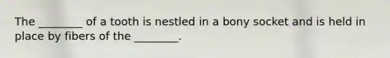 The ________ of a tooth is nestled in a bony socket and is held in place by fibers of the ________.