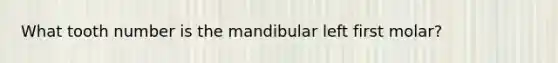 What tooth number is the mandibular left first molar?