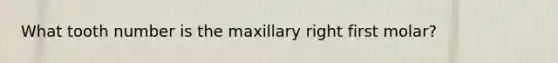 What tooth number is the maxillary right first molar?