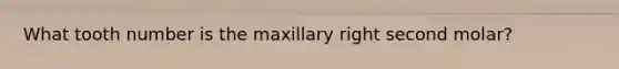 What tooth number is the maxillary right second molar?