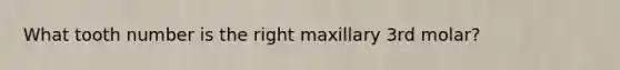What tooth number is the right maxillary 3rd molar?