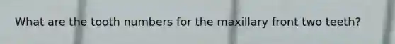What are the tooth numbers for the maxillary front two teeth?