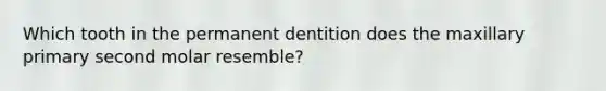 Which tooth in the permanent dentition does the maxillary primary second molar resemble?