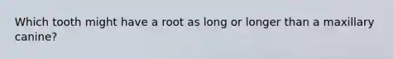 Which tooth might have a root as long or longer than a maxillary canine?