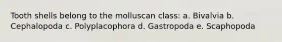 Tooth shells belong to the molluscan class: a. Bivalvia b. Cephalopoda c. Polyplacophora d. Gastropoda e. Scaphopoda