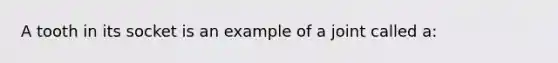 A tooth in its socket is an example of a joint called a: