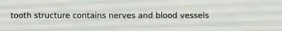 tooth structure contains nerves and blood vessels