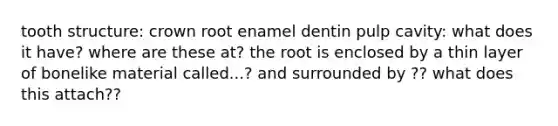 tooth structure: crown root enamel dentin pulp cavity: what does it have? where are these at? the root is enclosed by a thin layer of bonelike material called...? and surrounded by ?? what does this attach??