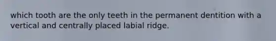 which tooth are the only teeth in the permanent dentition with a vertical and centrally placed labial ridge.