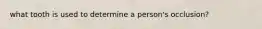 what tooth is used to determine a person's occlusion?