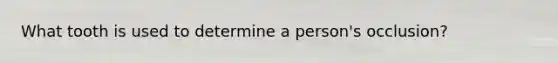 What tooth is used to determine a person's occlusion?