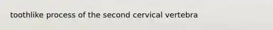 toothlike process of the second cervical vertebra