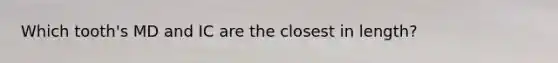 Which tooth's MD and IC are the closest in length?