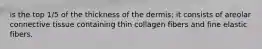 is the top 1/5 of the thickness of the dermis; it consists of areolar connective tissue containing thin collagen fibers and fine elastic fibers.