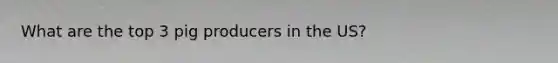 What are the top 3 pig producers in the US?