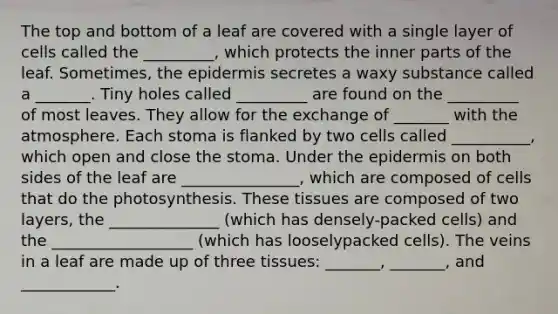 The top and bottom of a leaf are covered with a single layer of cells called the _________, which protects the inner parts of the leaf. Sometimes, the epidermis secretes a waxy substance called a _______. Tiny holes called _________ are found on the _________ of most leaves. They allow for the exchange of _______ with the atmosphere. Each stoma is flanked by two cells called __________, which open and close the stoma. Under the epidermis on both sides of the leaf are _______________, which are composed of cells that do the photosynthesis. These tissues are composed of two layers, the ______________ (which has densely-packed cells) and the __________________ (which has looselypacked cells). The veins in a leaf are made up of three tissues: _______, _______, and ____________.