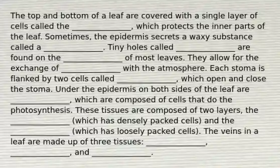 The top and bottom of a leaf are covered with a single layer of cells called the _______________, which protects the inner parts of the leaf. Sometimes, the epidermis secrets a waxy substance called a _______________. Tiny holes called _______________ are found on the _______________ of most leaves. They allow for the exchange of _______________ with the atmosphere. Each stoma is flanked by two cells called _______________, which open and close the stoma. Under the epidermis on both sides of the leaf are _______________, which are composed of cells that do the photosynthesis. These tissues are composed of two layers, the _______________ (which has densely packed cells) and the _______________ (which has loosely packed cells). The veins in a leaf are made up of three tissues: _______________, _______________, and _______________.
