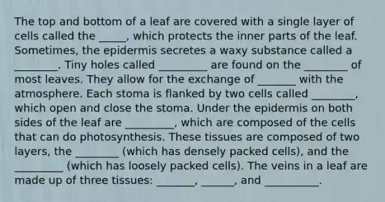 The top and bottom of a leaf are covered with a single layer of cells called the _____, which protects the inner parts of the leaf. Sometimes, the epidermis secretes a waxy substance called a ________. Tiny holes called _________ are found on the ________ of most leaves. They allow for the exchange of _______ with the atmosphere. Each stoma is flanked by two cells called ________, which open and close the stoma. Under the epidermis on both sides of the leaf are _________, which are composed of the cells that can do photosynthesis. These tissues are composed of two layers, the ________ (which has densely packed cells), and the _________ (which has loosely packed cells). The veins in a leaf are made up of three tissues: _______, ______, and __________.