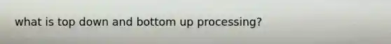 what is top down and bottom up processing?